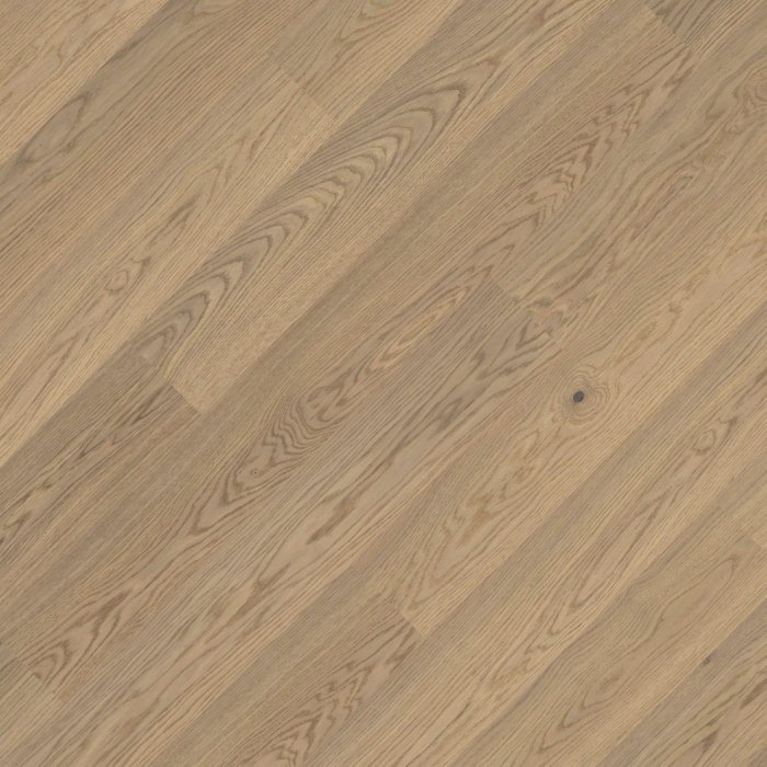 CI Dab Color Alba pr v4